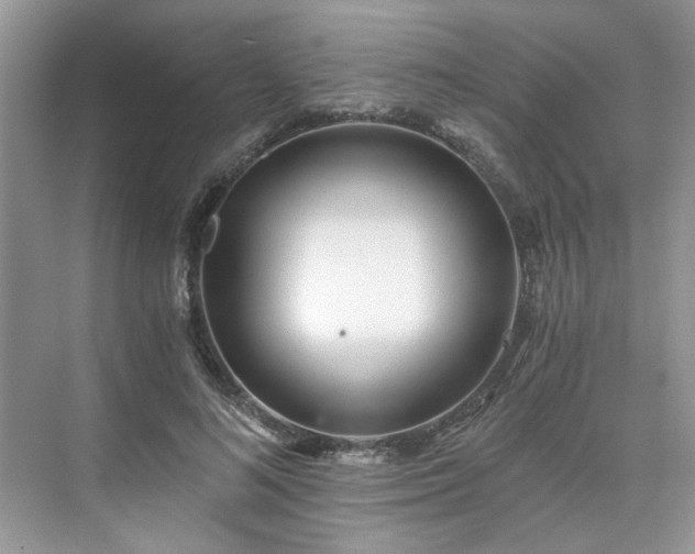 X0000071350692200606301653