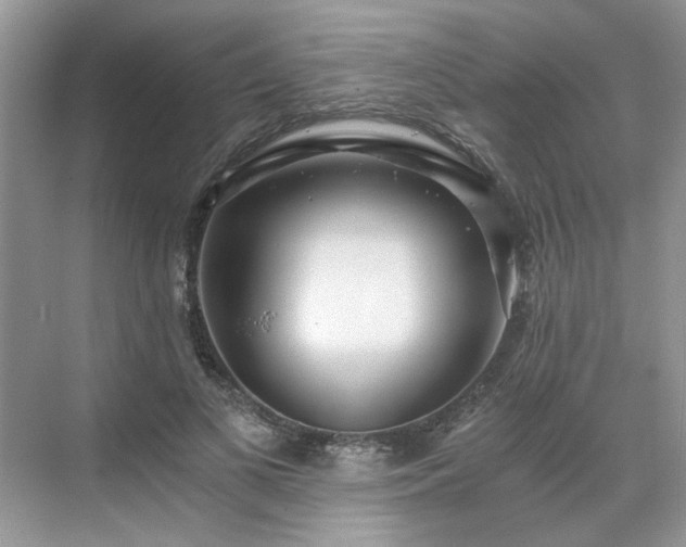 X0000071350693200606301653