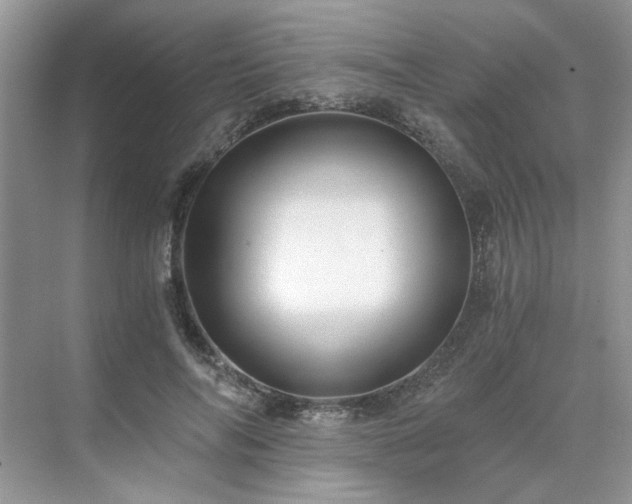 X0000071350694200606301652