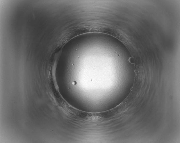 X0000071350695200606301652