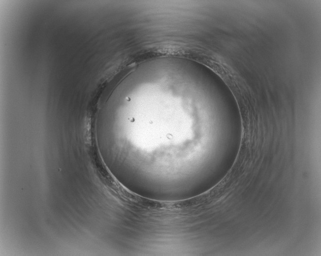 X0000071350696200606301652