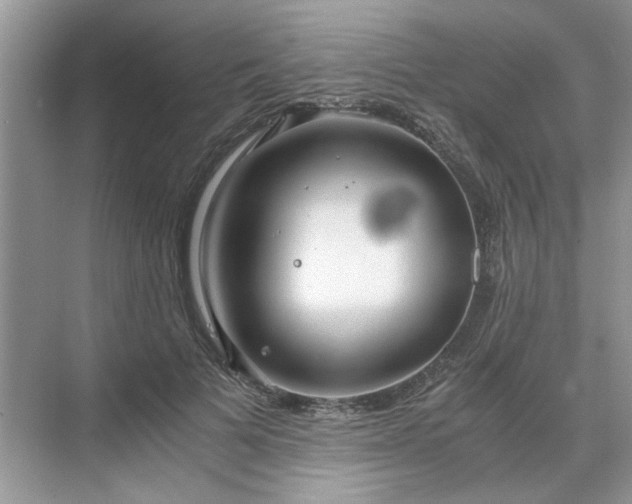 X0000071350697200606301652