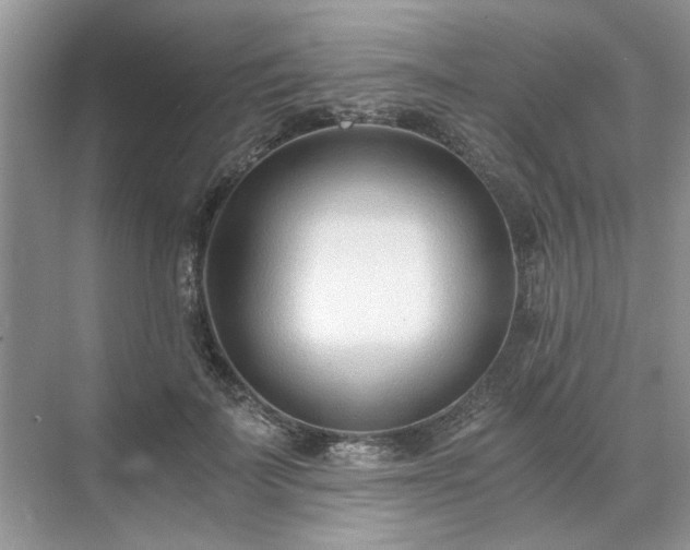 X0000071350699200606301652