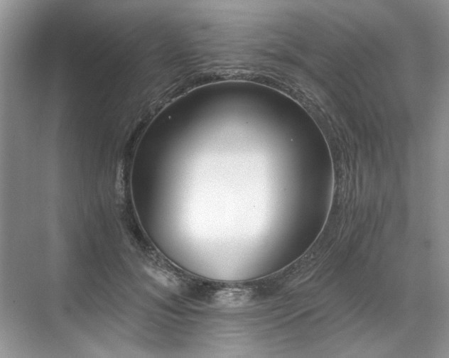 X0000071350700200606301652