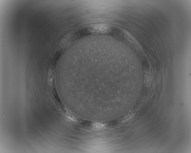 X0000071350701200606301652