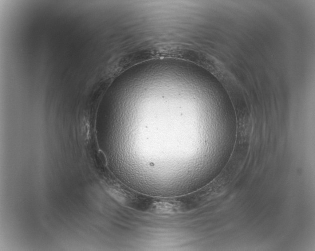 X0000071350703200606301652