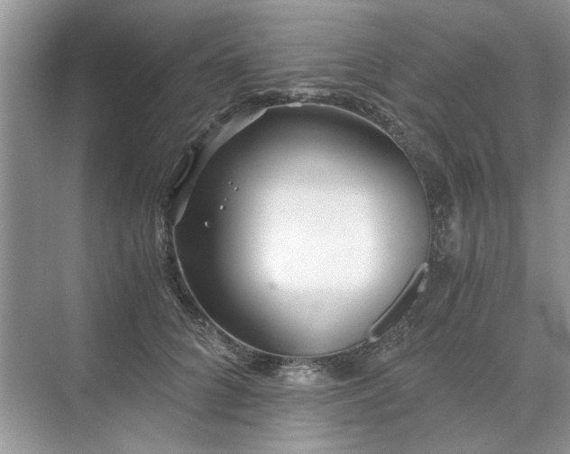 X0000071350704200606301652