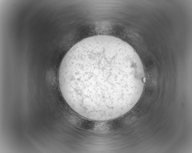 X0000071350705200606301652