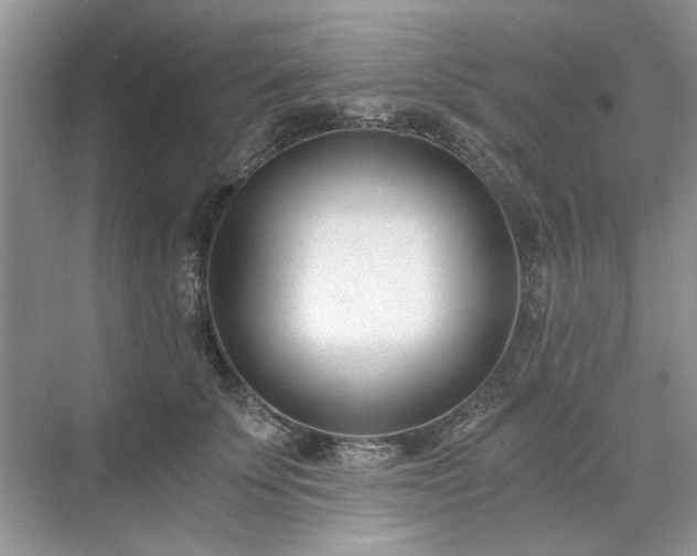 X0000071350707200606301652