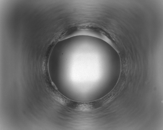 X0000071350708200606301652