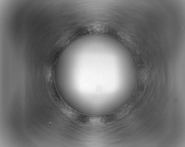 X0000071350709200606301652