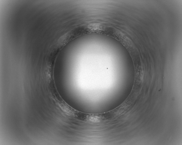 X0000071350710200606301652