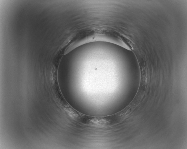 X0000071350712200606301652