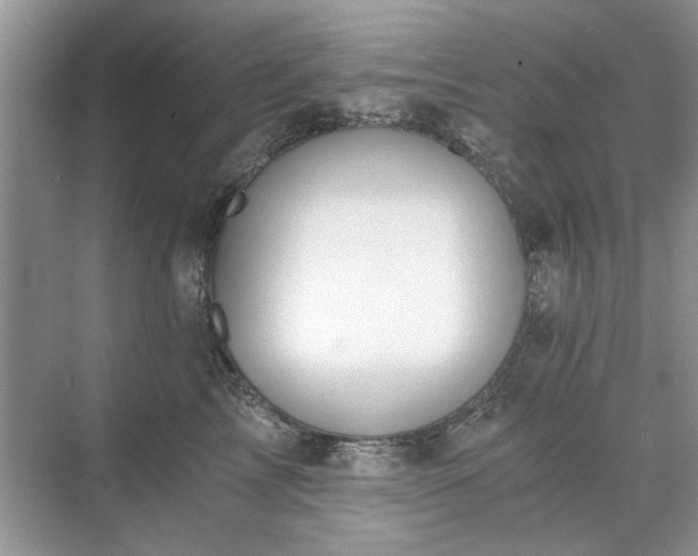 X0000071350713200606301652