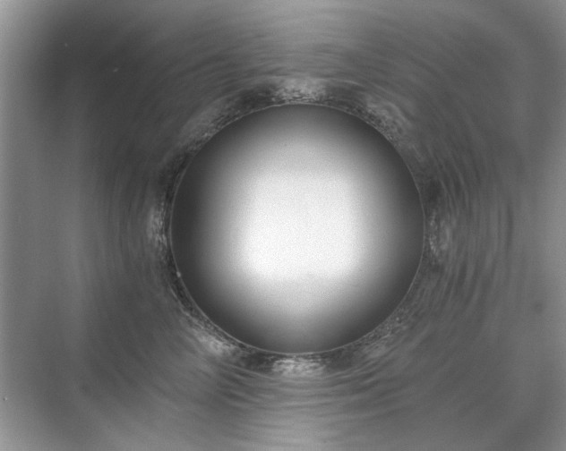 X0000071350714200606301652