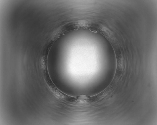 X0000071350715200606301652