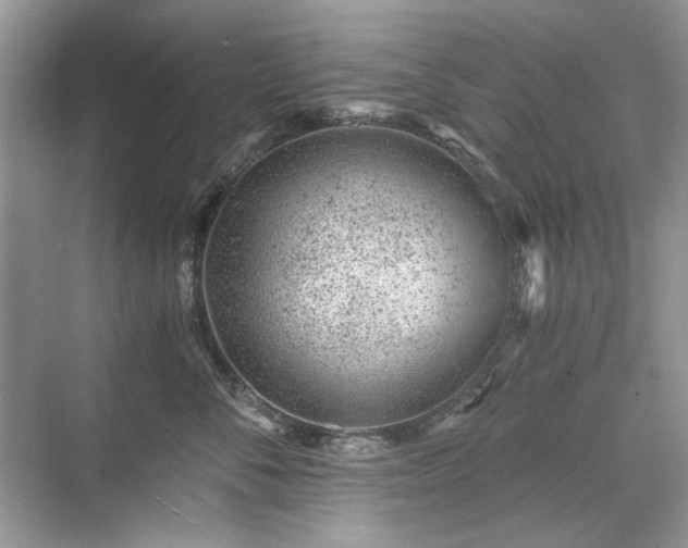 X0000071350716200606301652