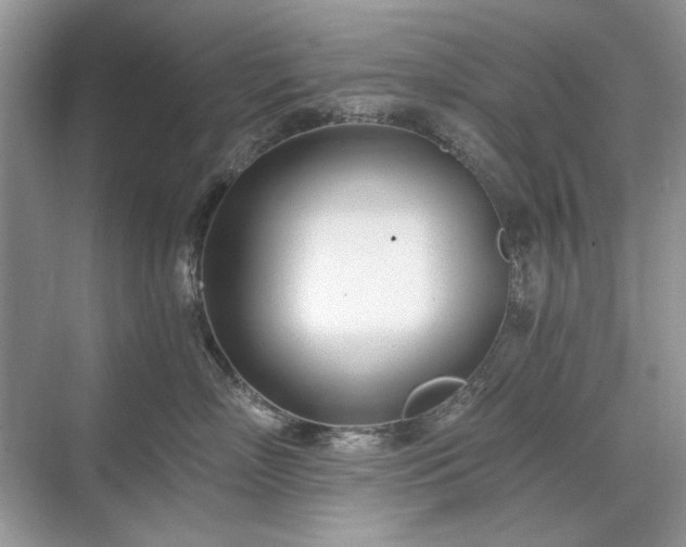 X0000071350718200606301652