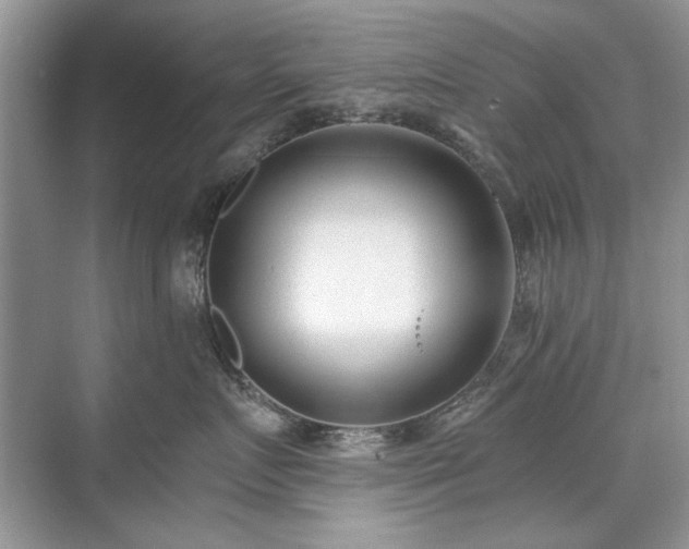 X0000071350719200606301652