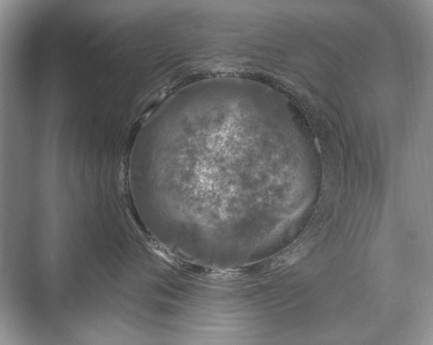 X0000071350720200606301652