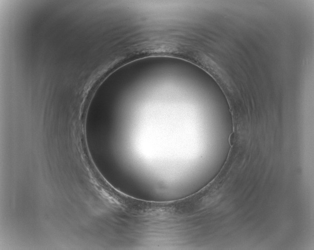 X0000071350721200606301651