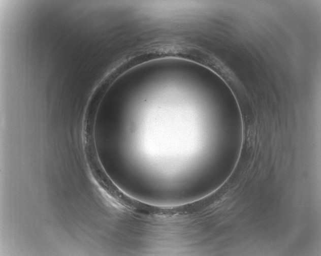 X0000071350722200606301651