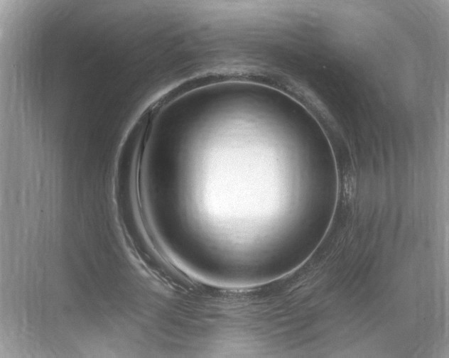 X0000071350724200606301651