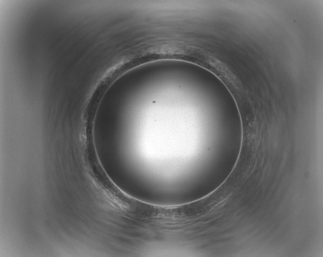 X0000071350727200606301651