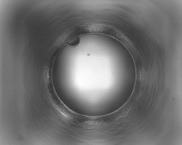 X0000071350733200606301651