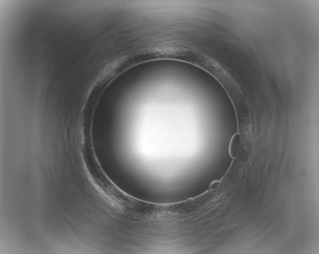 X0000071350734200606301651