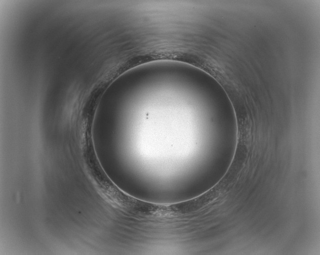 X0000071350742200606301652