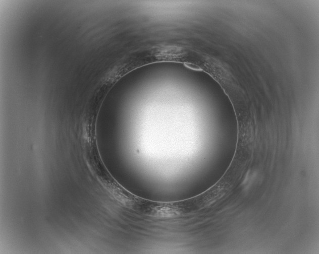 X0000071350755200606301652