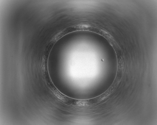 X0000071350762200606301652