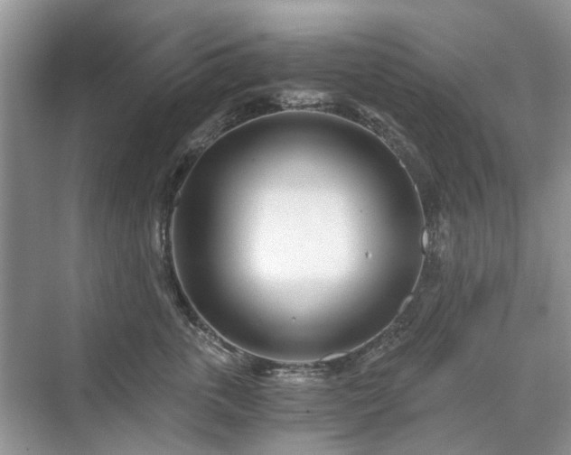 X0000071350763200606301652