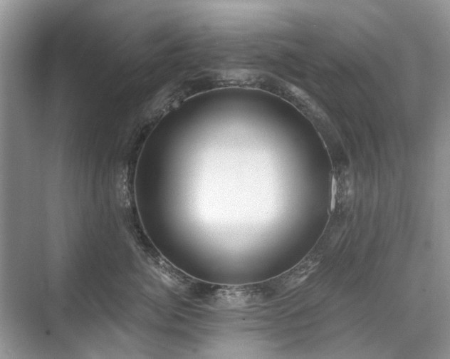 X0000071350764200606301652