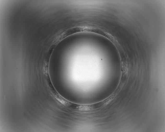 X0000071350766200606301652