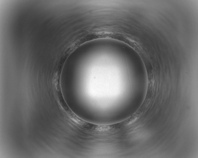 X0000071350767200606301652