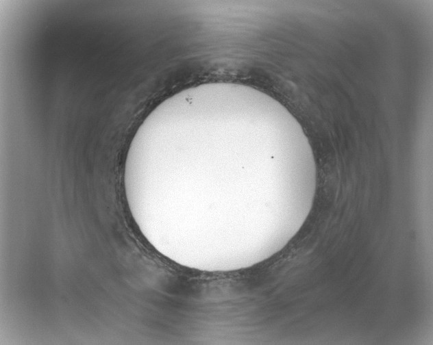 X0000071350769200606301651