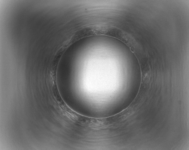 X0000071350772200606301651