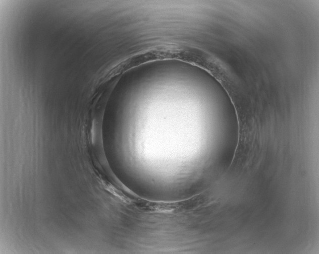 X0000071350773200606301651