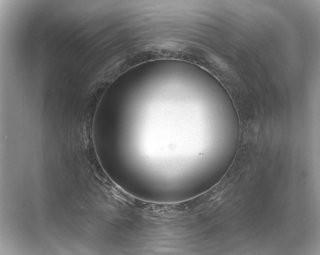 X0000071350774200606301651