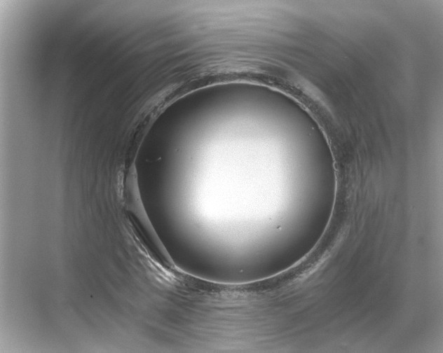 X0000071350777200606301651