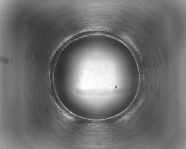 X0000071350781200606301651