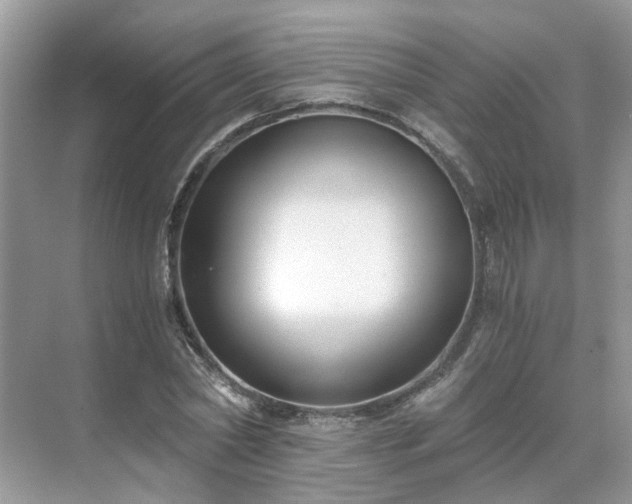 X0000071350782200606301651