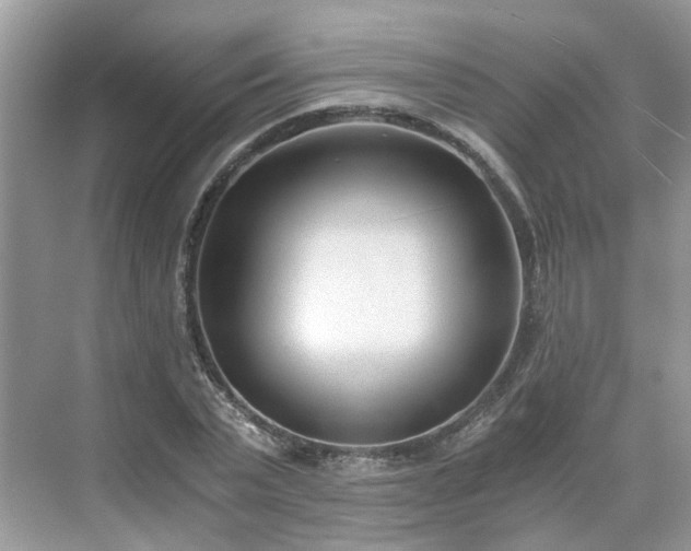 X0000071350783200606301651