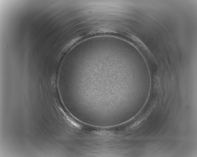 X0000071350785200606301651