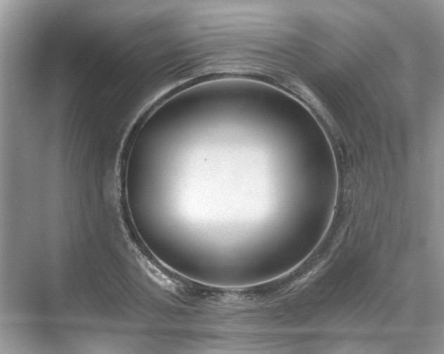 X0000071350787200606301651