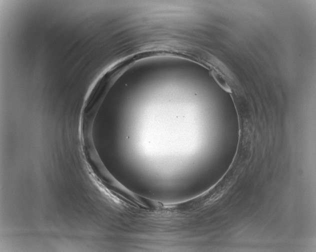 X0000071350788200606301651