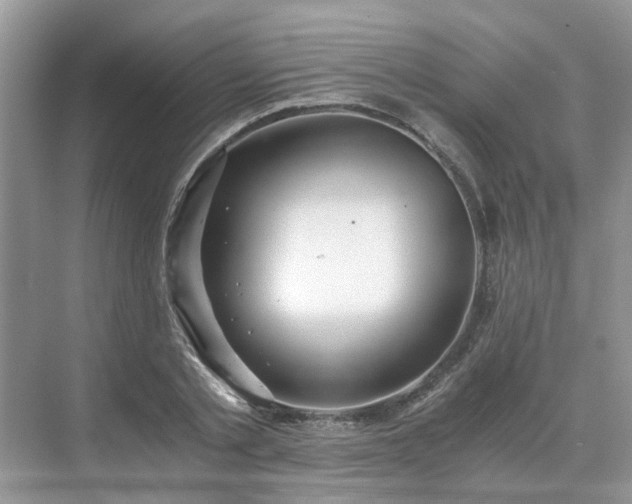 X0000071350789200606301651