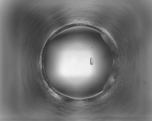 X0000071350791200606301651